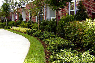 Sunrise of Nashville has been Enhancing the  Landscape in Nashville since 1981 and is a recognized leader in the commercial/residential  landscape industry.   Sunrise is a full service landscape firm offering consultation, landscape design, construction, project management and residential/commercial landscape maintenance. We are experienced in a wide range of tasks from irrigation issues to installation of your entire new project.  For both residential and commercial care, we have a solution for you.